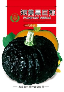 短蔓黑巨冠