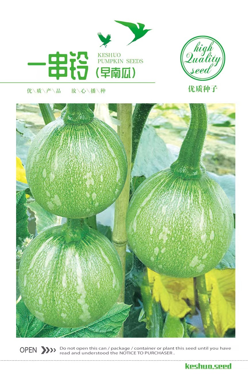 一串玲早南瓜