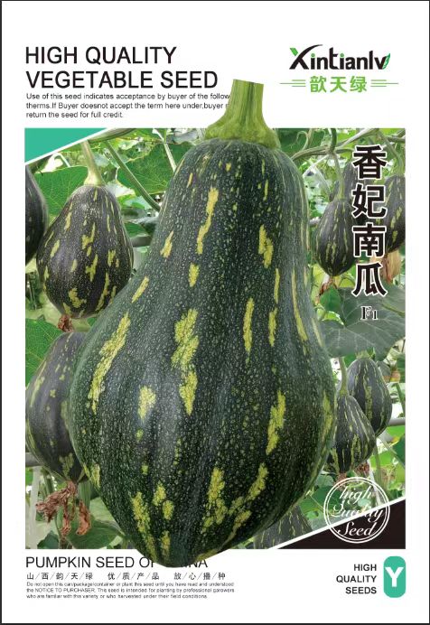 香妃南瓜