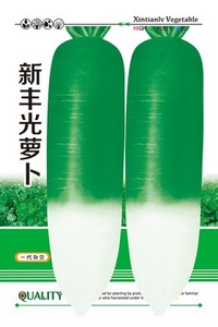 新丰光一代