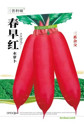 春早红水萝卜