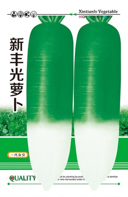新丰光萝卜
