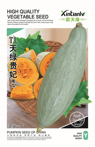 TL天绿贵妃南瓜