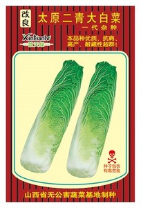太原二青