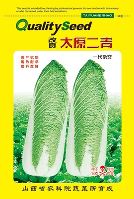 改良太原二青