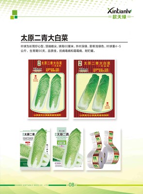 太原二青大白菜